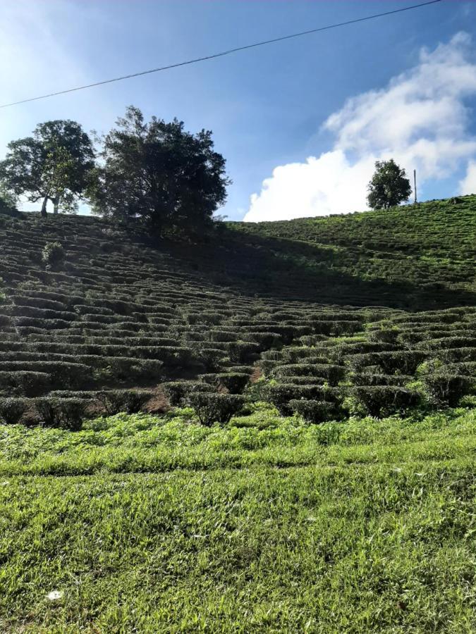 Chiangrai Resort House Ban Doi Hang Eksteriør billede